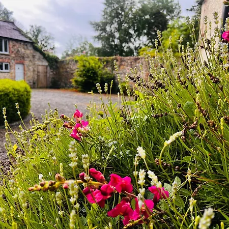 The Coach House